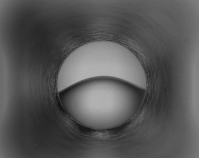 X0000088150317200705141057