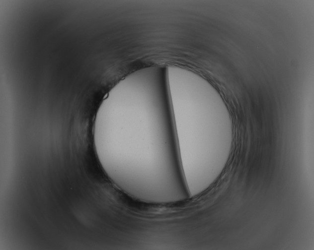 X0000088150319200705141056