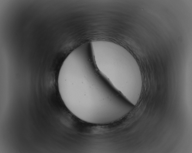 X0000088150320200705141056