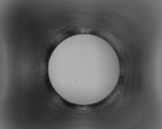 X0000088150321200705141056