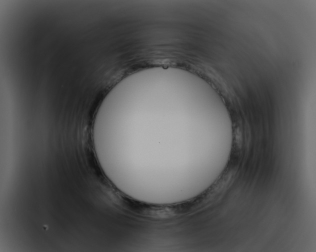 X0000088150322200705141056