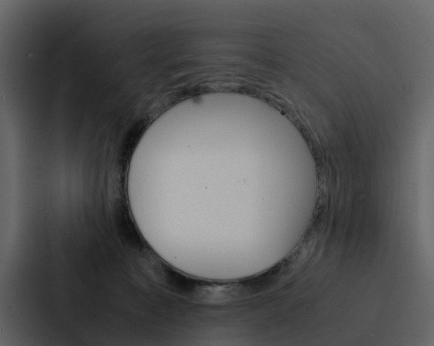 X0000088150323200705141056