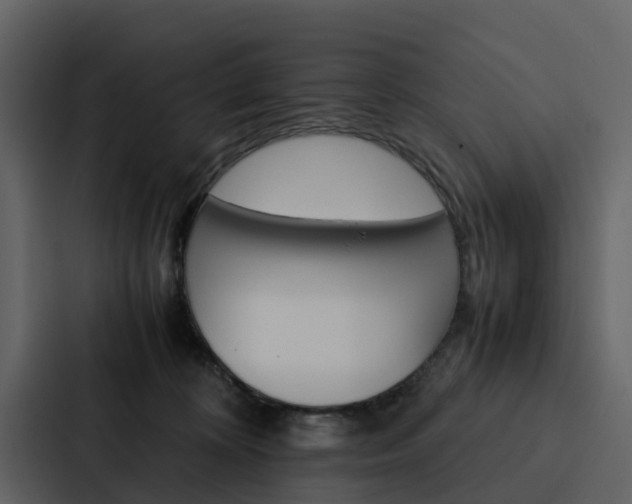 X0000088150324200705141056