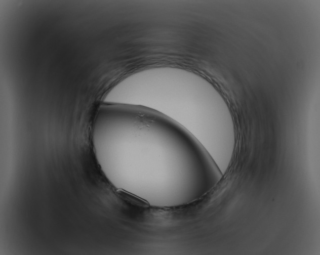 X0000088150325200705141056