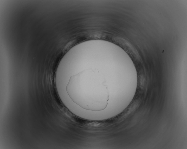 X0000088150326200705141056