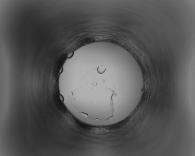 X0000088150327200705141056
