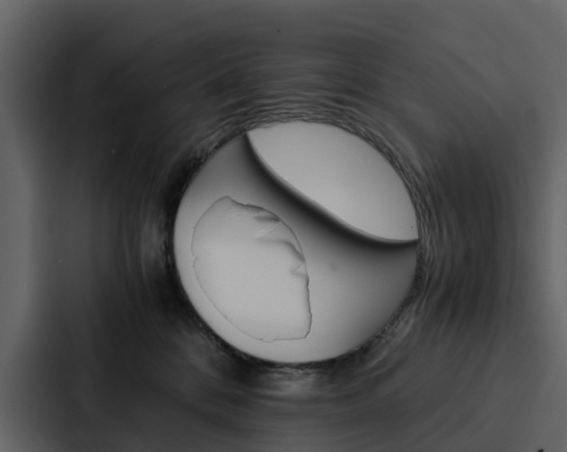 X0000088150328200705141056