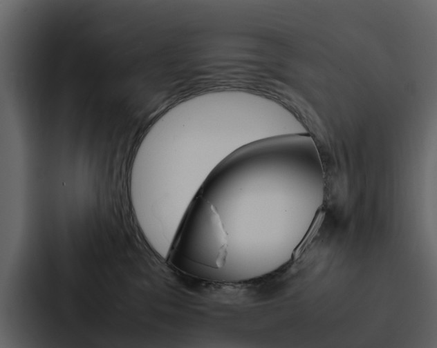 X0000088150329200705141056