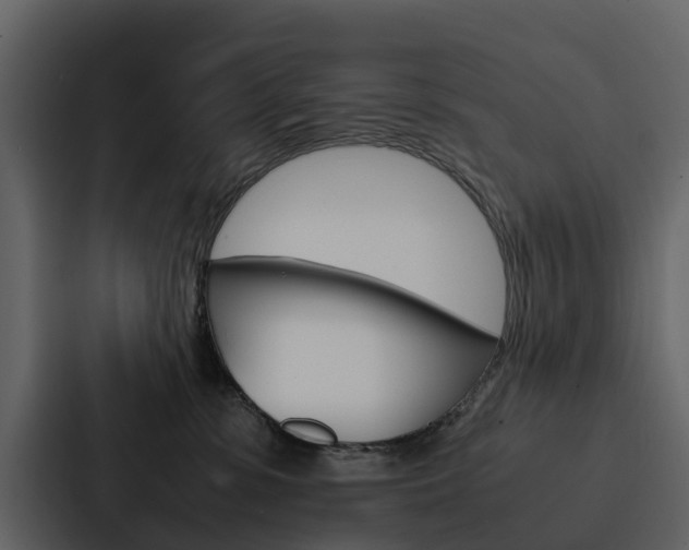 X0000088150331200705141056