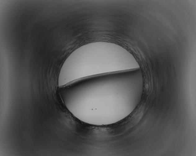 X0000088150332200705141056