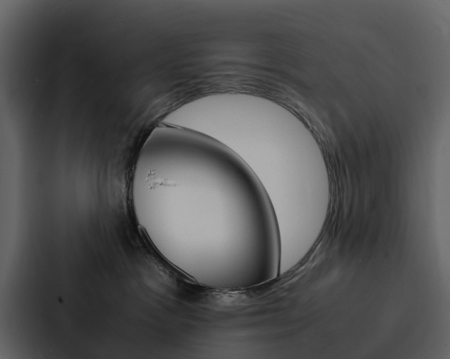 X0000088150333200705141056