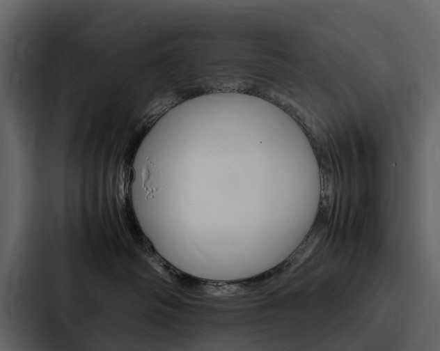 X0000088150334200705141056