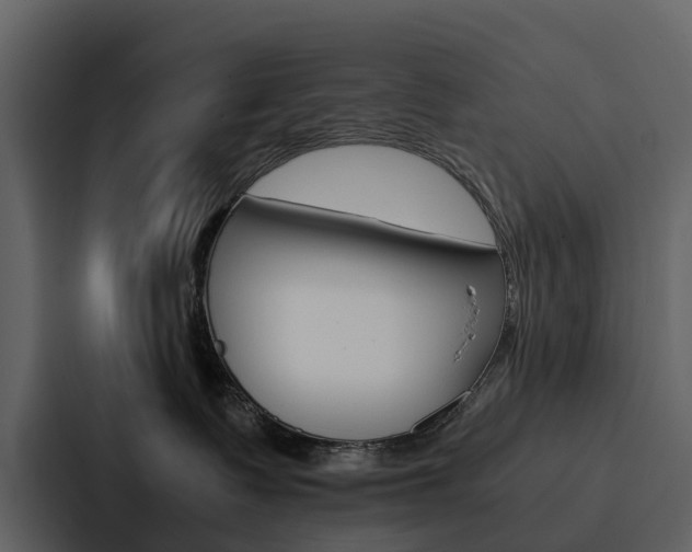X0000088150335200705141056