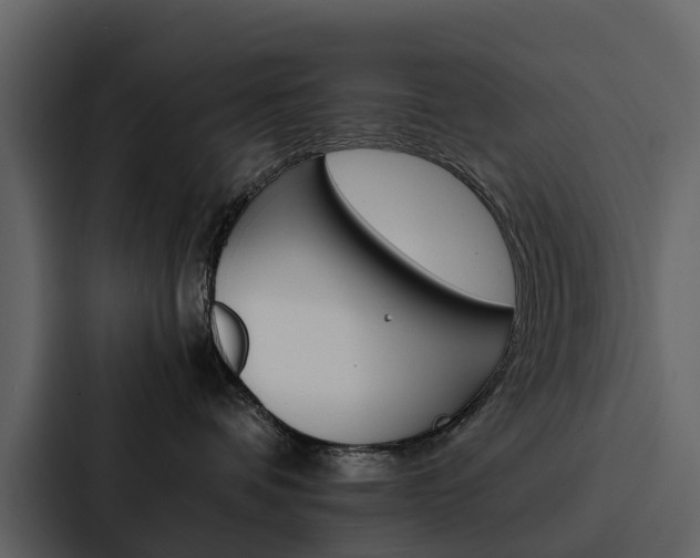 X0000088150336200705141056