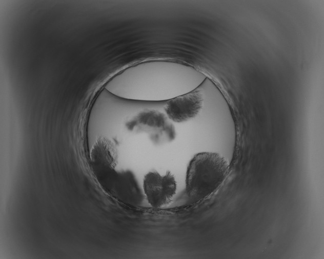X0000088150337200705141056