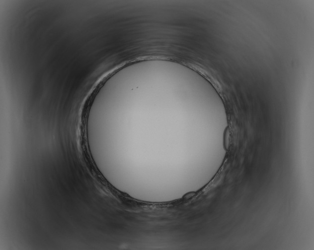 X0000088150338200705141056
