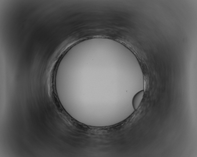 X0000088150339200705141056
