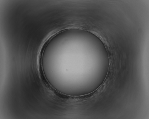 X0000088150340200705141056