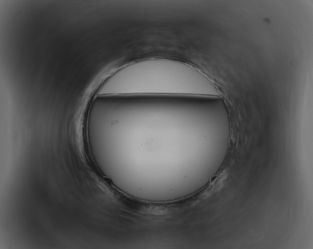 X0000088150341200705141056