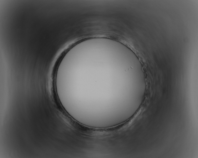 X0000088150342200705141056