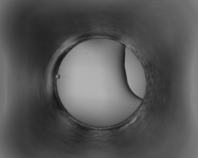 X0000088150343200705141056