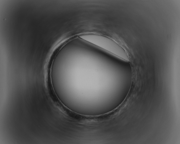 X0000088150344200705141056