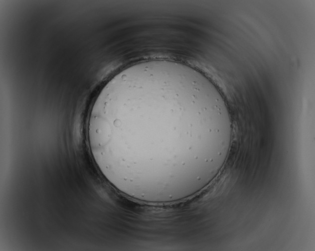 X0000088150347200705141056