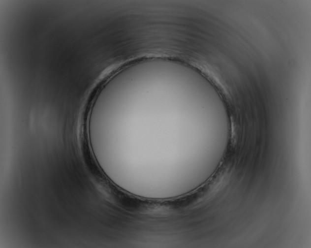 X0000088150348200705141056