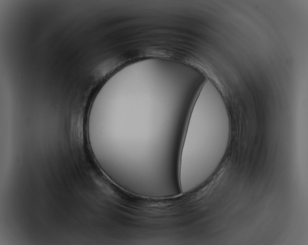 X0000088150349200705141056