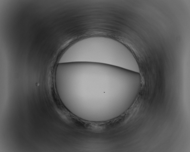 X0000088150352200705141056