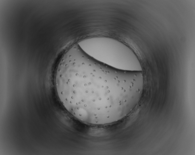 X0000088150354200705141056