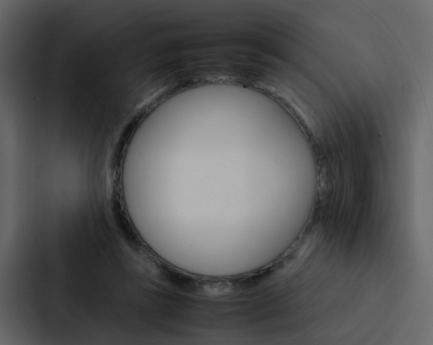 X0000088150355200705141056