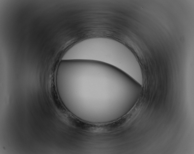 X0000088150356200705141056
