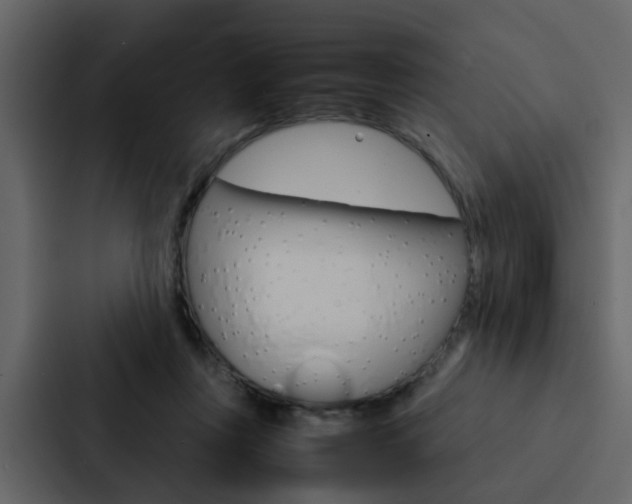 X0000088150359200705141056