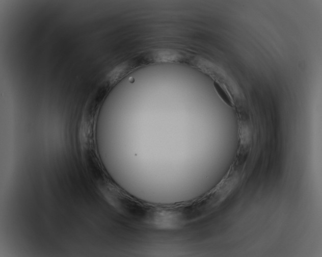 X0000088150360200705141056