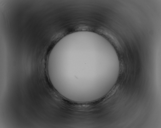X0000088150361200705141056