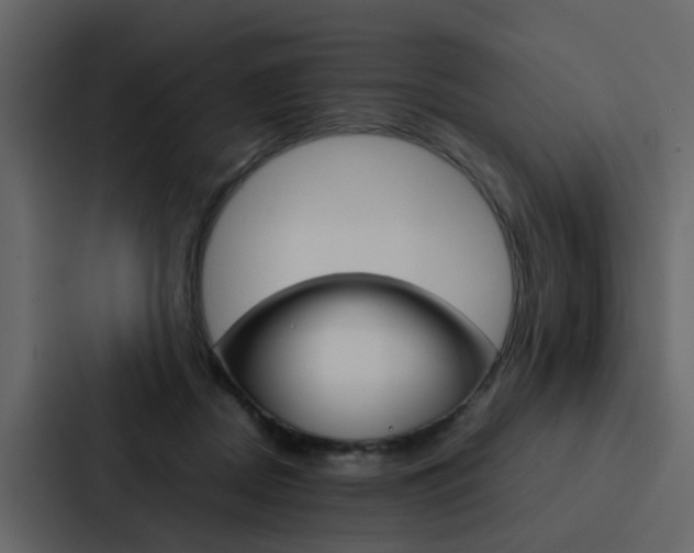 X0000088150362200705141056