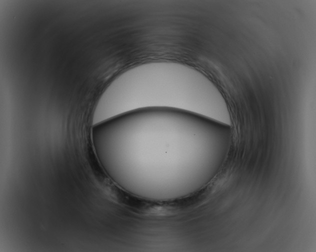 X0000088150364200705141056