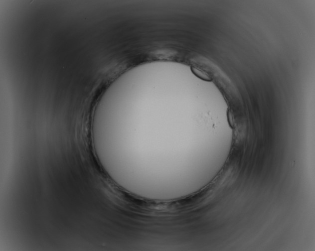 X0000088150365200705141056
