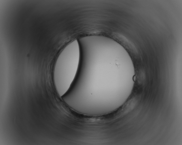 X0000088150366200705141056