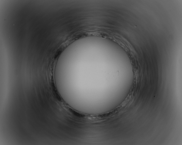X0000088150372200705141056