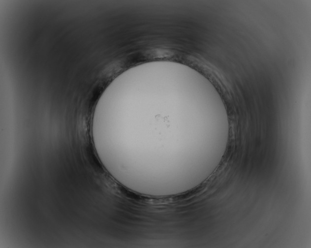 X0000088150373200705141056
