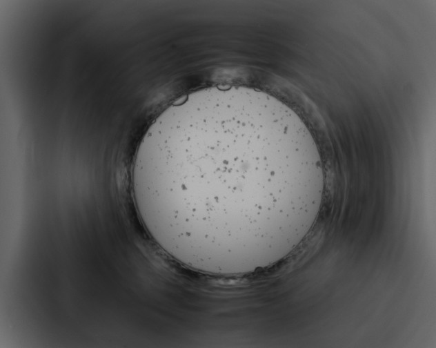 X0000088150375200705141056