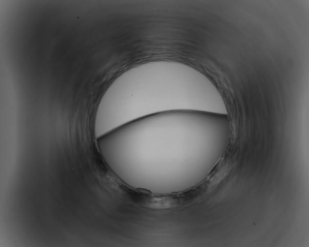 X0000088150376200705141056
