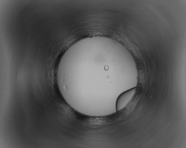 X0000088150378200705141056