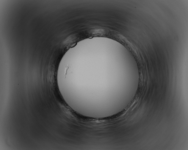X0000088150379200705141056