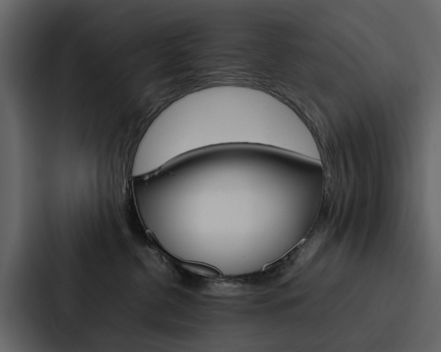 X0000088150380200705141056