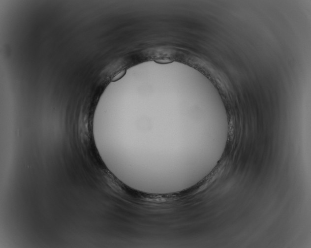 X0000088150381200705141056