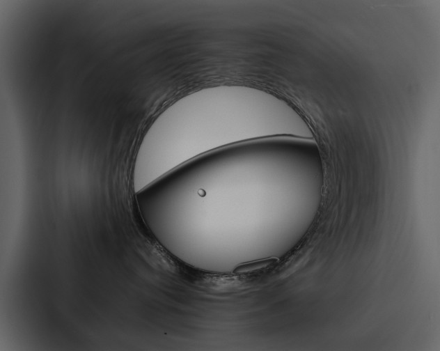 X0000088150384200705141056