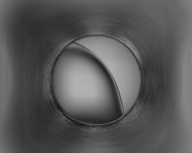 X0000088150385200705141056